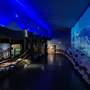 Oceanium - Entrance to Falklands area