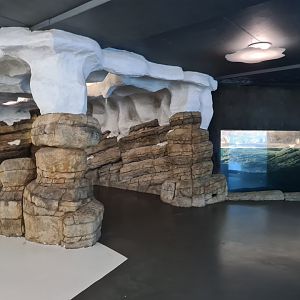 Oceanium - Falklands area