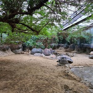 Oceanium - Galapagos giant tortoise indoor enclosure