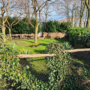 Oceanium - Galapagos giant tortoise outdoor enclosure