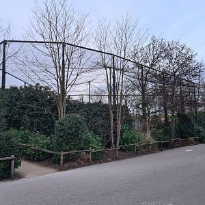 Oceanium - Madagascar aviary (Ring-tailed lemur and Helmeted guineafowl)