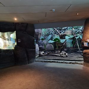 Oceanium - Bird enclosure (right) and Colorado river toad enclosure (left)