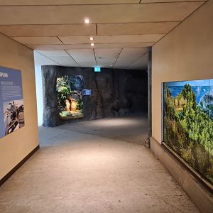 Oceanium - Walkway in Conservation centre