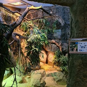 Oceanium - Juvenile Komodo dragon enclosure in Conservation centre