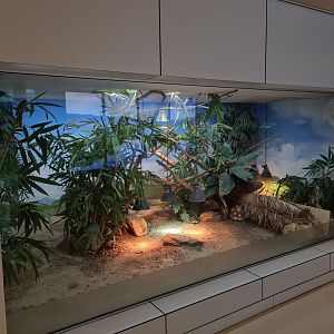 Oceanium - Madagascar terrarium in Conservation centre