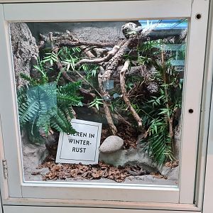 Oceanium - San Francisco garter snake enclosure in Conservation centre
