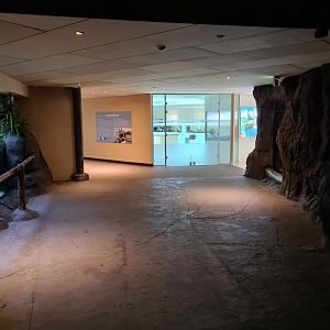 Oceanium - Looking back at Conservation centre