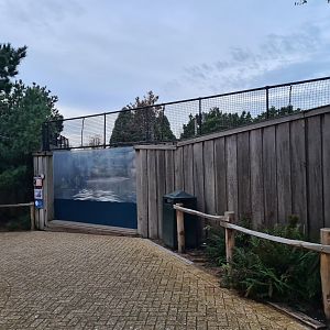 Oceanium - California sea lion viewing point