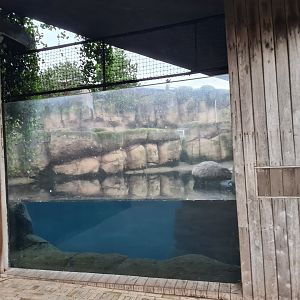 Oceanium - Former Sea otter enclosure (now empty)