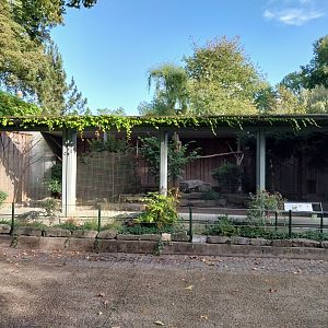 Hedgerow landscape aviary