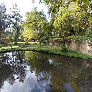 Eurasian lynx enclosure