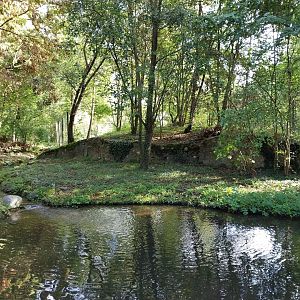 Eurasian lynx enclosure