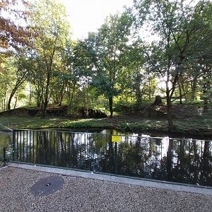 Eurasian lynx enclosure