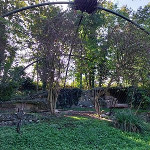 European eagle-owl aviary