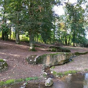 Alpine chamois enclosure
