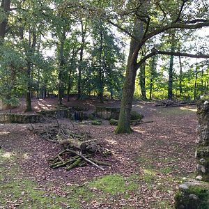 Alpine chamois enclosure