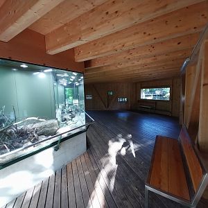 Observation cabin - Eurasian harvest mouse exhibit