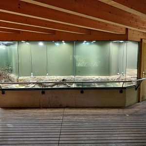 Observation cabin - European grass snake exhibit