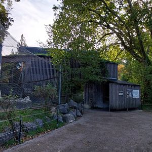 Monkey house (black-capped capuchin)