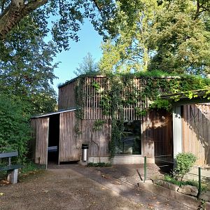 Monkey house (black-capped capuchin)