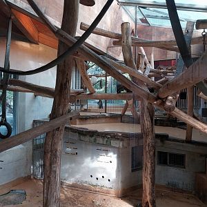 Monkey house (black-capped capuchin)