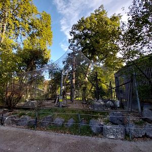 Monkey enclosure (black-capped capuchin)