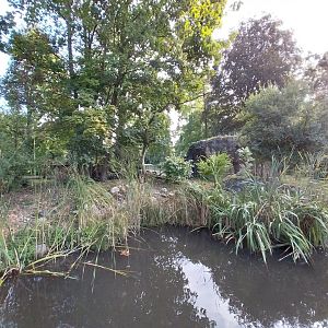 Eurasian wildcat enclosure 1