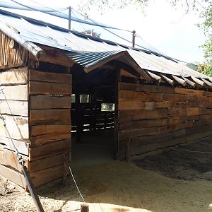 Viewing hut for new Secretary bird and Rüppell's griffon vulture aviary, 2023-08-15