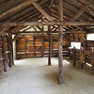 Viewing hut for new Secretary bird and Rüppell's griffon vulture aviary, 2023-08-15