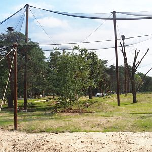 New Secretary bird and Rüppell's griffon vulture aviary, 2023-08-15