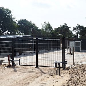 Holding area for elephant valley antelopes, secretary birds and vultures, 2023-08-15