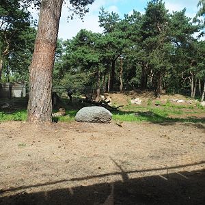 New South African cheetah exhibit complex, 2023-08-15