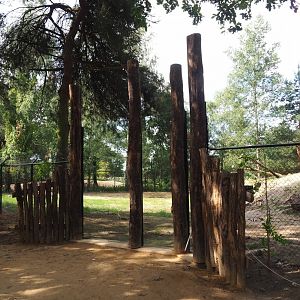 South African cheetah viewing window, 2023-08-15