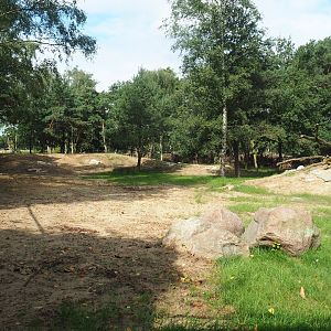 New South African cheetah exhibit complex, 2023-08-15