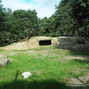 New South African cheetah exhibit complex, 2023-08-15