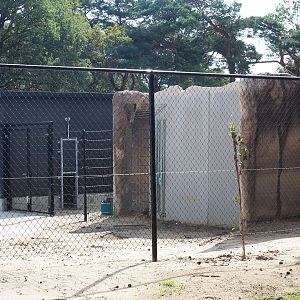 New Spotted hyena holding area, 2023-08-15