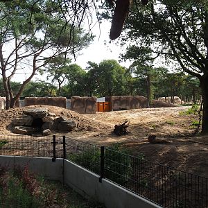 New Spotted hyena exhibit, 2023-08-15