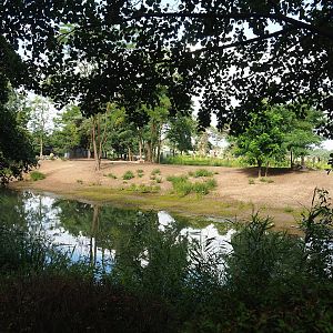 New Springbok exhibit, 2023-08-15