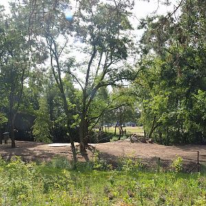 New Springbok exhibit, 2023-08-15