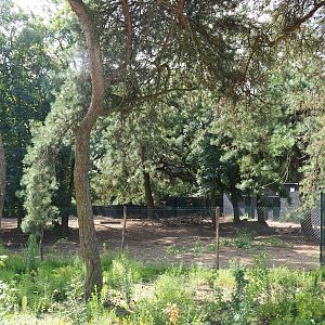 New Springbok exhibit, 2023-08-15