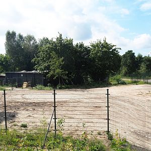 Ungulate holding and separation paddock between ungulate holding and rhinoceros plains, 2023-08-15