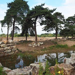 Renovated Southern white rhinoceros separation paddock, 2023-08-15