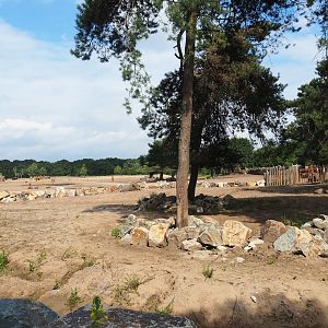 Renovated Southern white rhinoceros separation paddock, 2023-08-15