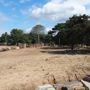 Renovated Southern white rhinoceros separation paddock, 2023-08-15