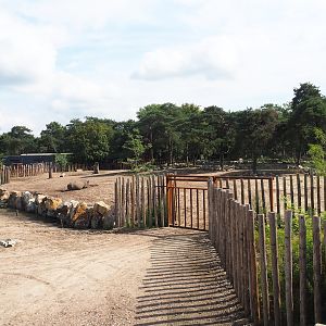 Renovated Southern white rhinoceros separation paddock, 2023-08-15