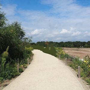 Southern white rhinoceros plains and new walkway, 2023-08-15