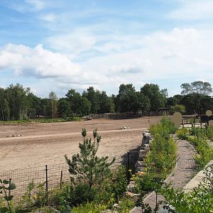 Southern white rhinoceros plains and part of new viewing area, 2023-08-15