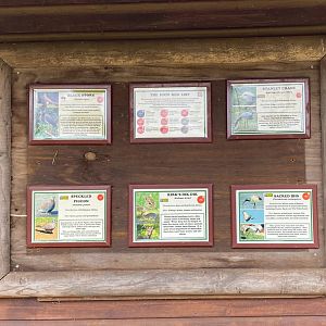 Updated little Africa Signage, CWP, UK