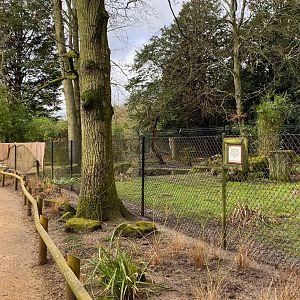 Construction in the second Anteater enclosure, CWP, UK