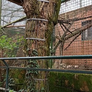 View of Primate Enclosures